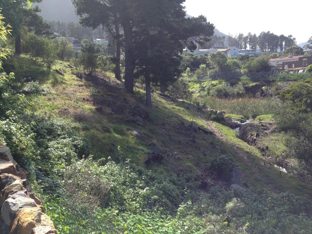 Chateau Neuf Du Cap Hout Bay Bagian luar foto